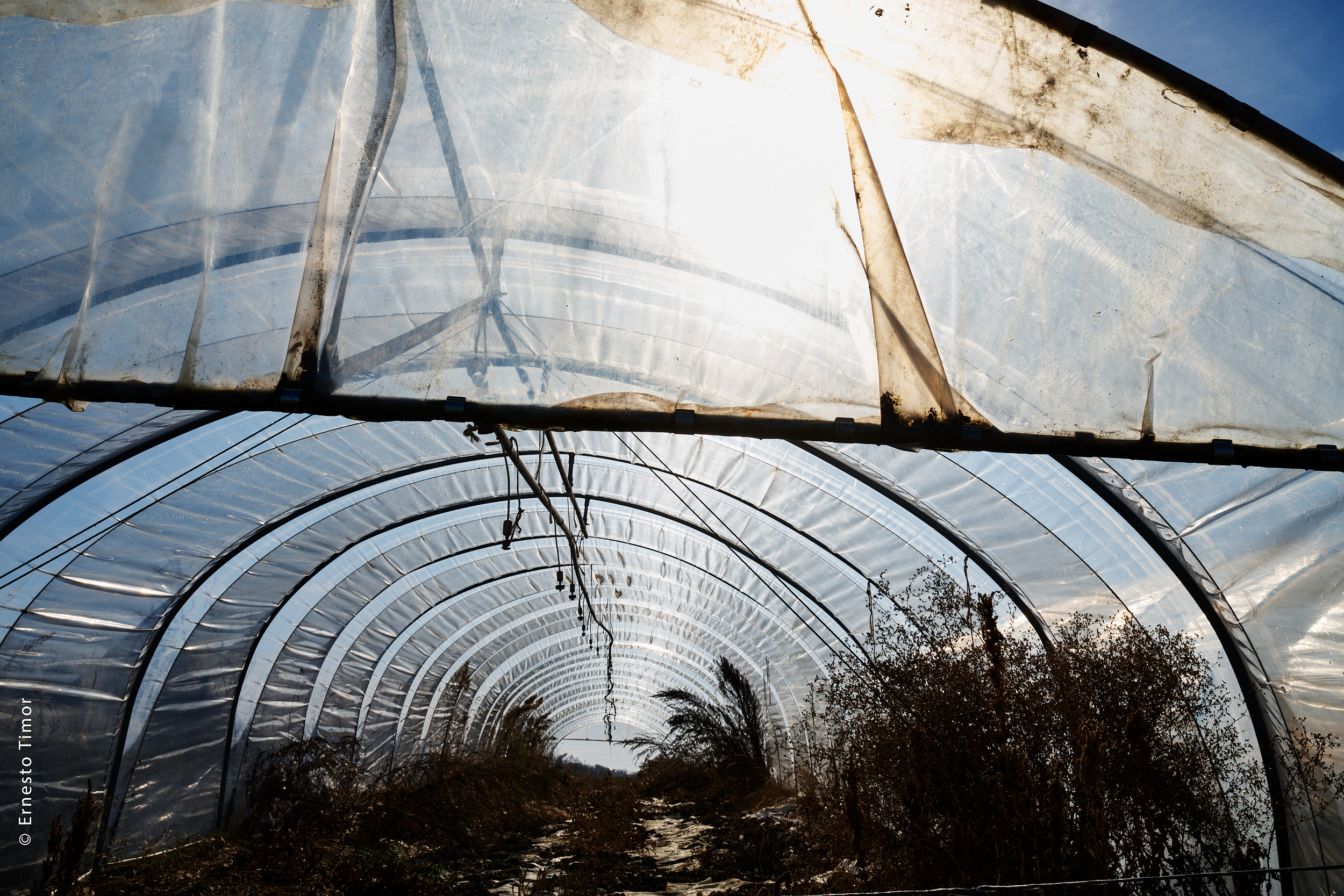 Photo © Ernesto Timor - Welcome in my tunnel.